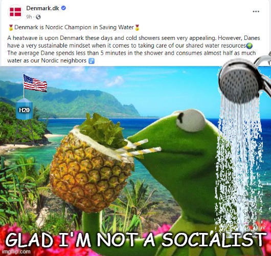 Danish problems |  H20; GLAD I'M NOT A SOCIALIST | image tagged in vacation kermit,shower thoughts,denmark | made w/ Imgflip meme maker