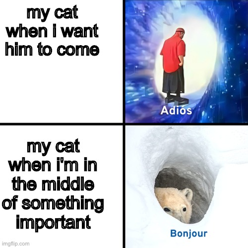 Adios Bonjour | my cat when i want him to come; my cat when i'm in the middle of something important | image tagged in adios bonjour,cats | made w/ Imgflip meme maker