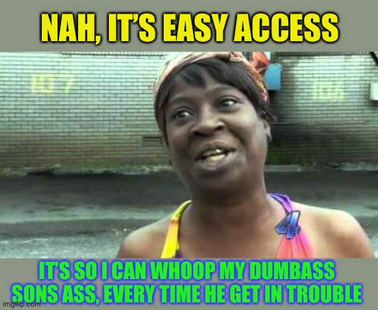Sweet Brown | NAH, IT’S EASY ACCESS IT’S SO I CAN WHOOP MY DUMBASS SONS ASS, EVERY TIME HE GET IN TROUBLE | image tagged in sweet brown | made w/ Imgflip meme maker
