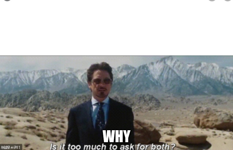 Tony Stark Is It To Much To Ask For Both | WHY | image tagged in tony stark is it to much to ask for both | made w/ Imgflip meme maker