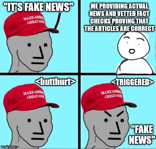 This happens quite consistently, I'm afraid. | ME PROVIDING ACTUAL NEWS AND VETTED FACT CHECKS PROVING THAT THE ARTICLES ARE CORRECT; "IT'S FAKE NEWS"; <TRIGGERED>; <butthurt>; "FAKE NEWS" | image tagged in maga npc,fake news,reality,research,ignorance,trump supporters | made w/ Imgflip meme maker