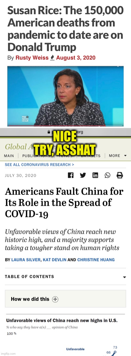 Democrats are on China’s payroll | NICE TRY, ASSHAT | image tagged in covid-19,corona virus,china,democrats,democratic party,susan rice | made w/ Imgflip meme maker