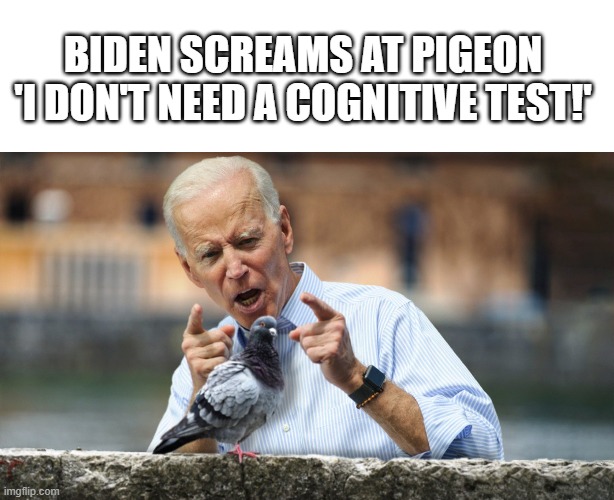 “I don’t know who you little jerks are, but you have to leave me alone,” he told the pigeon. “ | BIDEN SCREAMS AT PIGEON 
'I DON'T NEED A COGNITIVE TEST!' | image tagged in joe biden,babylon bee | made w/ Imgflip meme maker