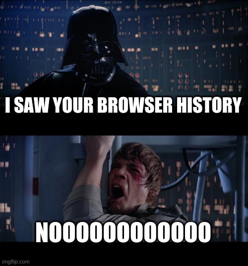Star Wars No |  I SAW YOUR BROWSER HISTORY; NOOOOOOOOOOOO | image tagged in memes,star wars no | made w/ Imgflip meme maker