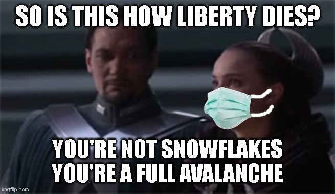 FACE COVERINGS ARE FASCISM | SO IS THIS HOW LIBERTY DIES? YOU'RE NOT SNOWFLAKES
YOU'RE A FULL AVALANCHE | image tagged in star wars so this is how liberty dies,covid,masks,fascism | made w/ Imgflip meme maker