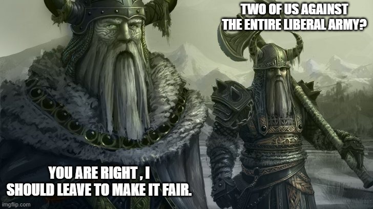 TWO OF US AGAINST THE ENTIRE LIBERAL ARMY? YOU ARE RIGHT , I SHOULD LEAVE TO MAKE IT FAIR. | image tagged in political meme | made w/ Imgflip meme maker