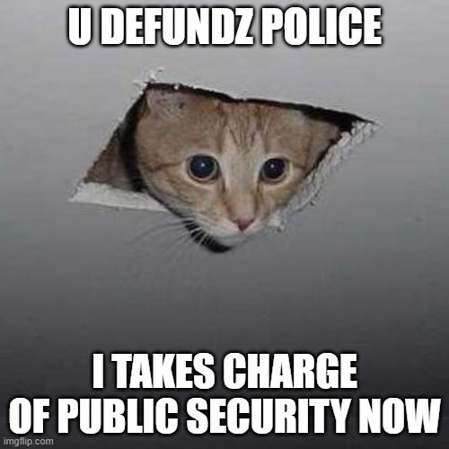 no defundz cats | U DEFUNDZ POLICE; I TAKES CHARGE OF PUBLIC SECURITY NOW | image tagged in memes,ceiling cat | made w/ Imgflip meme maker
