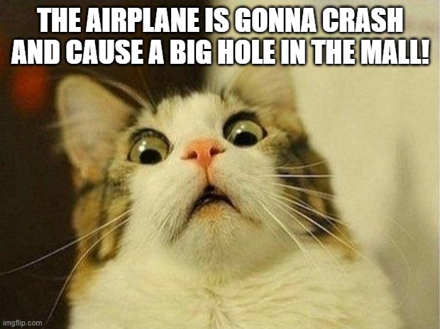 Scared Cat Meme | THE AIRPLANE IS GONNA CRASH AND CAUSE A BIG HOLE IN THE MALL! | image tagged in memes,scared cat | made w/ Imgflip meme maker