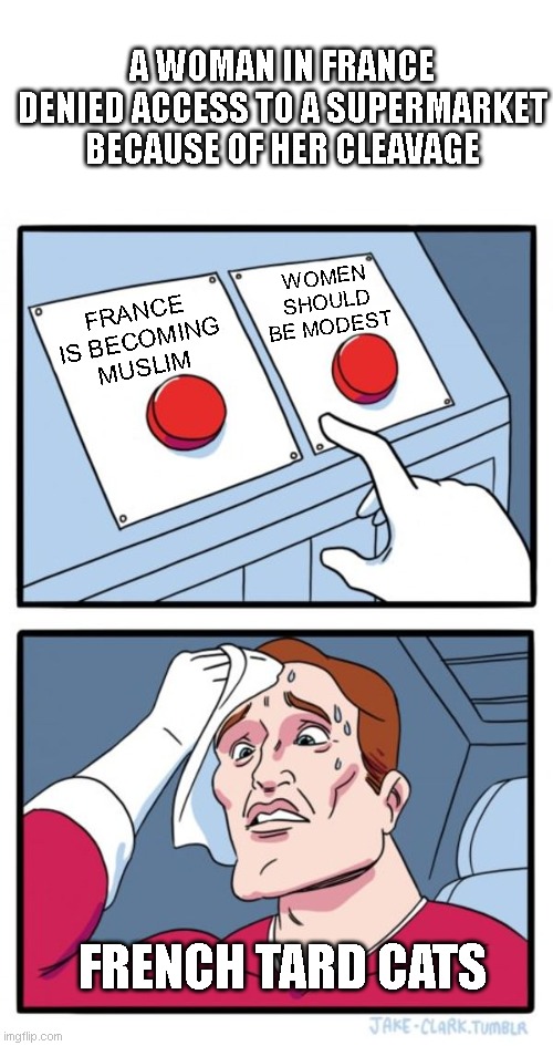 French Trad Catholics, Islam and Modesty | A WOMAN IN FRANCE DENIED ACCESS TO A SUPERMARKET BECAUSE OF HER CLEAVAGE; WOMEN SHOULD BE MODEST; FRANCE IS BECOMING MUSLIM; FRENCH TARD CATS | image tagged in memes,two buttons,islamophobia,france,catholic | made w/ Imgflip meme maker