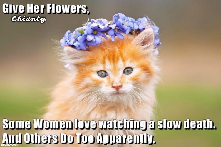 Give Her Flowers | 𝓒𝓱𝓲𝓪𝓷𝓽𝔂 | image tagged in life and death | made w/ Imgflip meme maker