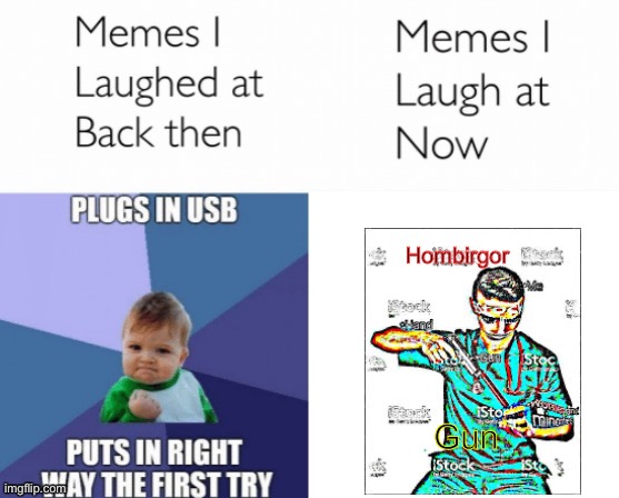 Memes I laughed at then vs memes I laugh at now | Hombirgor; Gun | image tagged in memes i laughed at then vs memes i laugh at now | made w/ Imgflip meme maker