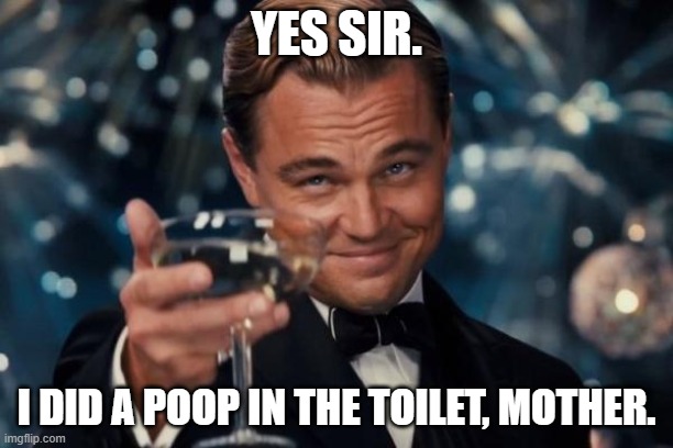 Leonardo Dicaprio Cheers | YES SIR. I DID A POOP IN THE TOILET, MOTHER. | image tagged in memes,leonardo dicaprio cheers | made w/ Imgflip meme maker