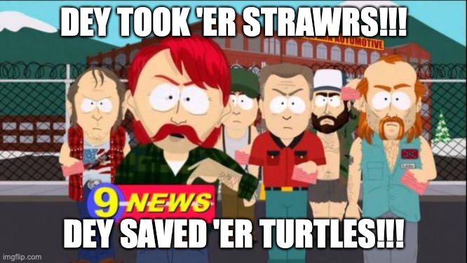 They took our jobs | DEY TOOK 'ER STRAWRS!!! DEY SAVED 'ER TURTLES!!! | image tagged in they took our jobs,AdviceAnimals | made w/ Imgflip meme maker