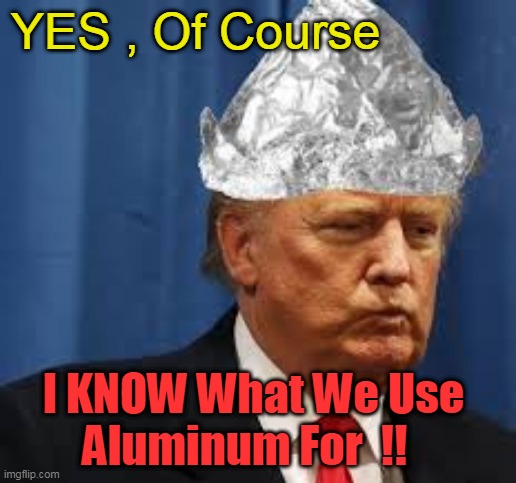 Aluminum Hat | YES , Of Course; I KNOW What We Use 
Aluminum For  !! | image tagged in tin foil hat,aluminum tarriff,trumped,meanwhile in canada | made w/ Imgflip meme maker