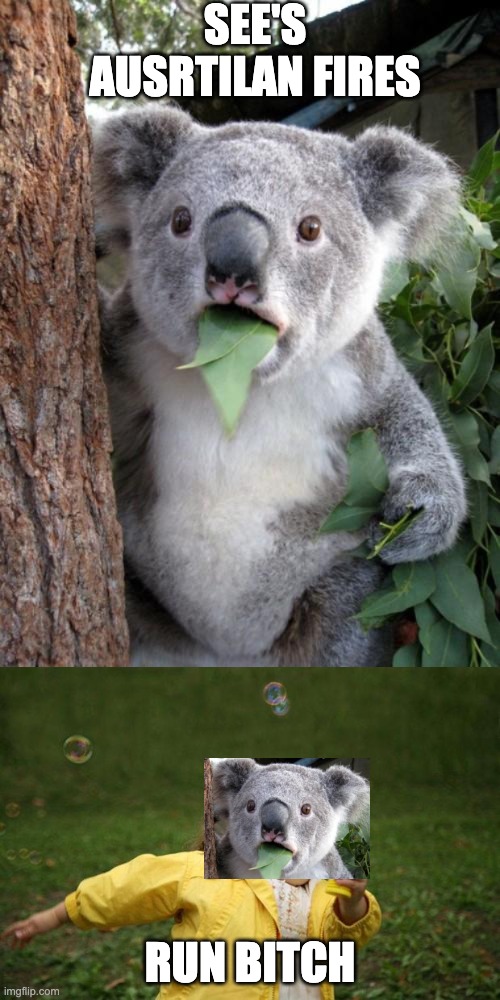 SEE'S AUSRTILAN FIRES; RUN BITCH | image tagged in memes,surprised koala,girl running | made w/ Imgflip meme maker