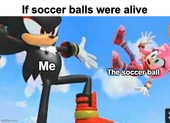 sentient soccer ball | If soccer balls were alive; Me; The soccer ball | image tagged in soccer,shadow the hedgehog,so true memes,memes | made w/ Imgflip meme maker