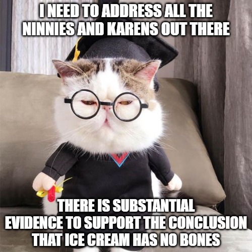Ain't no bones about it | I NEED TO ADDRESS ALL THE NINNIES AND KARENS OUT THERE; THERE IS SUBSTANTIAL EVIDENCE TO SUPPORT THE CONCLUSION THAT ICE CREAM HAS NO BONES | image tagged in cats,memes,fun,funny,karen,2020 | made w/ Imgflip meme maker