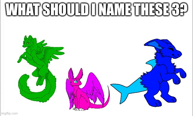 ? | WHAT SHOULD I NAME THESE 3? | image tagged in white background | made w/ Imgflip meme maker
