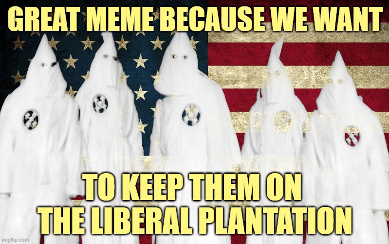 Ku Klux Klan | GREAT MEME BECAUSE WE WANT TO KEEP THEM ON 
THE LIBERAL PLANTATION | image tagged in ku klux klan | made w/ Imgflip meme maker