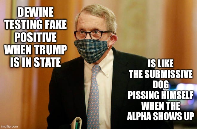 Dewine mask | DEWINE TESTING FAKE POSITIVE WHEN TRUMP IS IN STATE; IS LIKE THE SUBMISSIVE DOG PISSING HIMSELF WHEN THE ALPHA SHOWS UP | image tagged in dewine mask | made w/ Imgflip meme maker