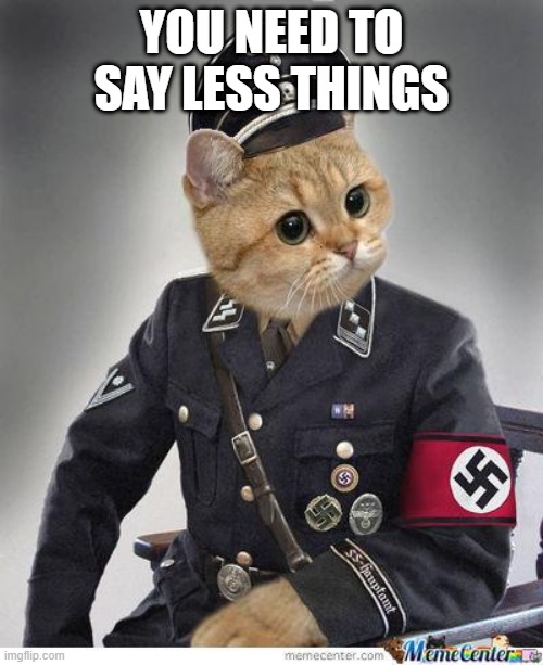 Nazi Cat | YOU NEED TO SAY LESS THINGS | image tagged in nazi cat,grammar nazi cat,grammar nazi,memes,cats,shut up | made w/ Imgflip meme maker