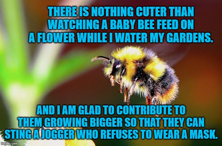 Nature's Beautiful Balance! | THERE IS NOTHING CUTER THAN WATCHING A BABY BEE FEED ON A FLOWER WHILE I WATER MY GARDENS. AND I AM GLAD TO CONTRIBUTE TO THEM GROWING BIGGER SO THAT THEY CAN STING A JOGGER WHO REFUSES TO WEAR A MASK. | image tagged in humor | made w/ Imgflip meme maker