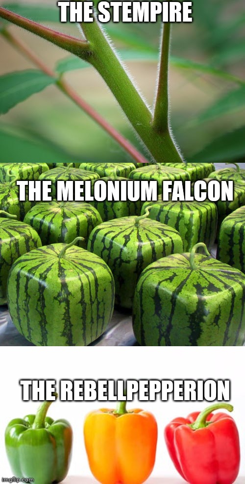 Starfruit Wars: A plant version of Star Wars | THE STEMPIRE; THE MELONIUM FALCON; THE REBELLPEPPERION | image tagged in star wars | made w/ Imgflip meme maker