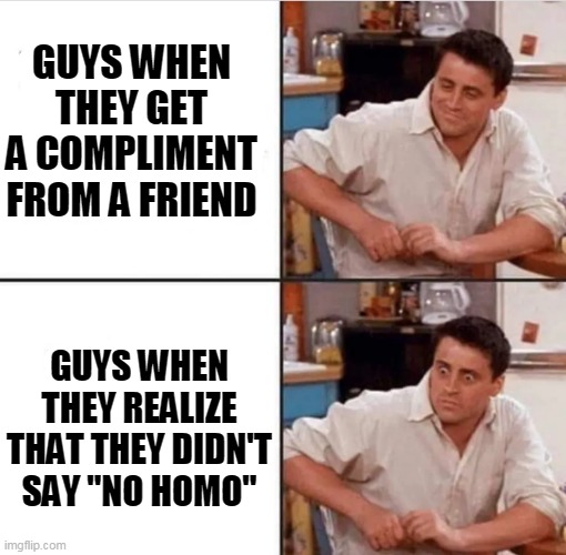 guys be like | GUYS WHEN THEY GET A COMPLIMENT FROM A FRIEND; GUYS WHEN THEY REALIZE THAT THEY DIDN'T SAY "NO HOMO" | image tagged in tag | made w/ Imgflip meme maker