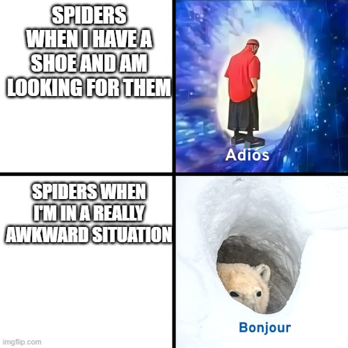 relatable | SPIDERS WHEN I HAVE A SHOE AND AM LOOKING FOR THEM; SPIDERS WHEN I'M IN A REALLY AWKWARD SITUATION | image tagged in adios bonjour | made w/ Imgflip meme maker
