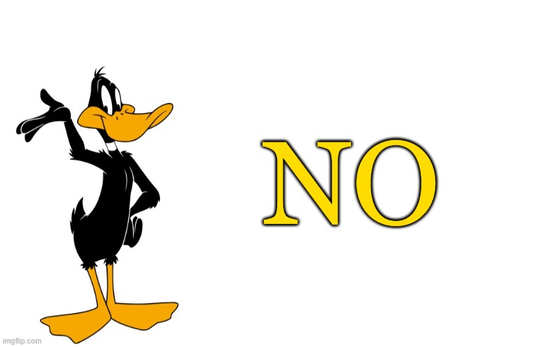 daffy speaking | NO | image tagged in daffy speaking | made w/ Imgflip meme maker