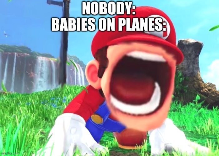 Mario screaming | NOBODY:
BABIES ON PLANES: | image tagged in mario screaming | made w/ Imgflip meme maker