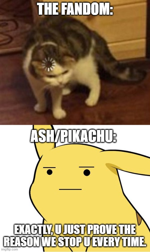 THE FANDOM: EXACTLY, U JUST PROVE THE REASON WE STOP U EVERY TIME. ASH/PIKACHU: | image tagged in pikachu is not amused,loading cat | made w/ Imgflip meme maker