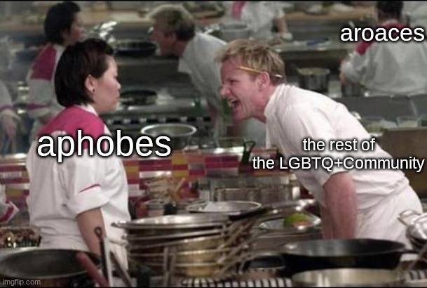 Angry Chef Gordon Ramsay | aroaces; the rest of the LGBTQ+Community; aphobes | image tagged in memes,angry chef gordon ramsay | made w/ Imgflip meme maker