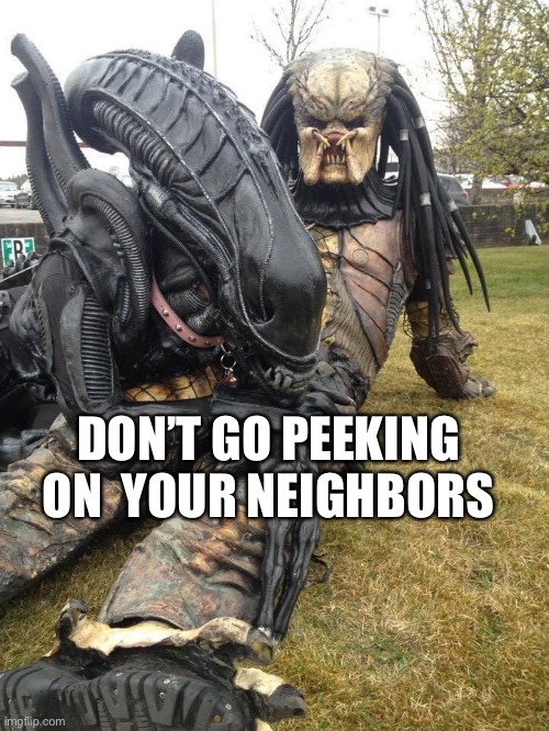 Make this movie | DON’T GO PEEKING ON  YOUR NEIGHBORS | image tagged in aliens,predator | made w/ Imgflip meme maker