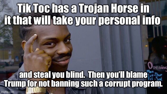 Roll Safe Think About It Meme | Tik Toc has a Trojan Horse in it that will take your personal info and steal you blind.  Then you’ll blame Trump for not banning such a corr | image tagged in memes,roll safe think about it | made w/ Imgflip meme maker