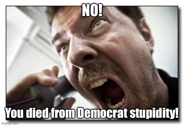 Shouter Meme | NO! You died from Democrat stupidity! | image tagged in memes,shouter | made w/ Imgflip meme maker