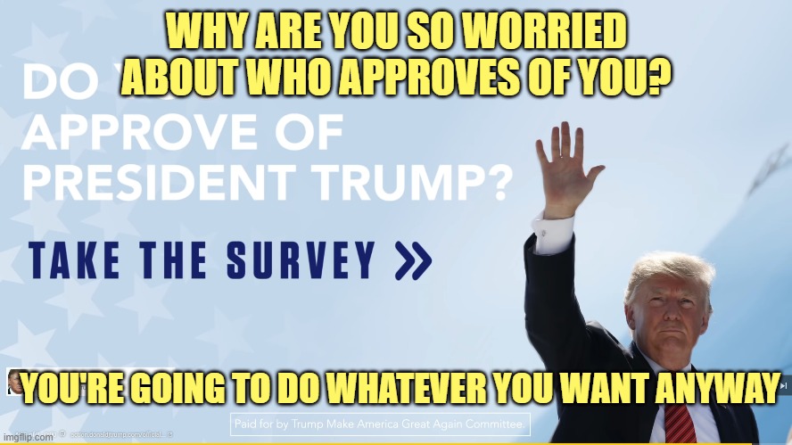 WHY ARE YOU SO WORRIED ABOUT WHO APPROVES OF YOU? YOU'RE GOING TO DO WHATEVER YOU WANT ANYWAY | image tagged in poltics | made w/ Imgflip meme maker