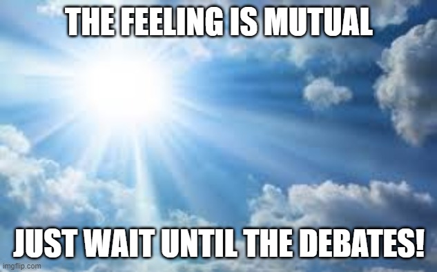 sunshine sky | THE FEELING IS MUTUAL JUST WAIT UNTIL THE DEBATES! | image tagged in sunshine sky | made w/ Imgflip meme maker