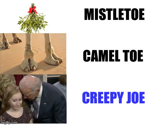 Creepy Joe under the mistletoe | MISTLETOE; CAMEL TOE; CREEPY JOE | image tagged in blank white template,memes,creepy joe biden,pervert,kiss,sexual assault | made w/ Imgflip meme maker