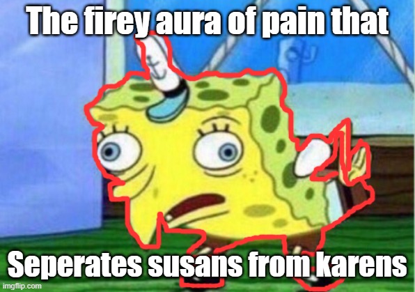 Mocking Spongebob Meme | The firey aura of pain that; Seperates susans from karens | image tagged in memes,mocking spongebob | made w/ Imgflip meme maker