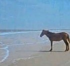 High Quality Man Blank Meme Template