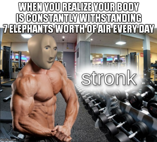 stronks | WHEN YOU REALIZE YOUR BODY IS CONSTANTLY WITHSTANDING 7 ELEPHANTS WORTH OF AIR EVERY DAY | image tagged in stronks | made w/ Imgflip meme maker
