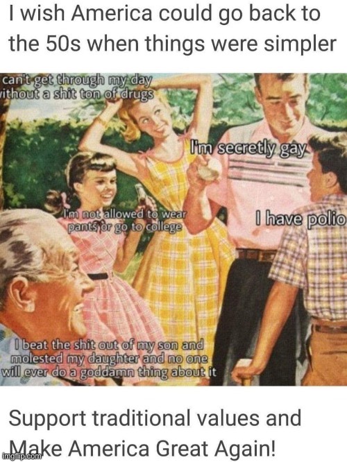 “The Left can’t meme”? Um. This is a good meme. | image tagged in memes about memes,memes about memeing,1950s,1950s housewife,1950's,politics lol | made w/ Imgflip meme maker