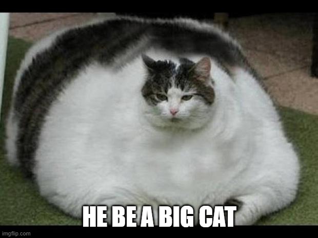 fat cat 2 | HE BE A BIG CAT | image tagged in fat cat 2 | made w/ Imgflip meme maker