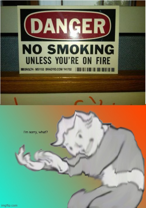 *Screams in confusion* | image tagged in i'm sorry what,smoking,fire,fallout,sign,random sign | made w/ Imgflip meme maker