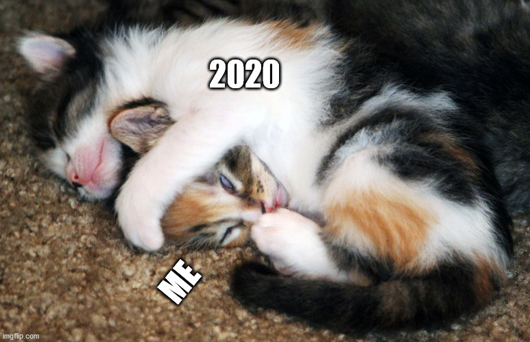 2020 | 2020; ME | image tagged in trapped | made w/ Imgflip meme maker