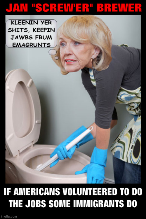 image tagged in flashback friday,jan brewer,clown car republicans,immigrants,arizona,toilet | made w/ Imgflip meme maker