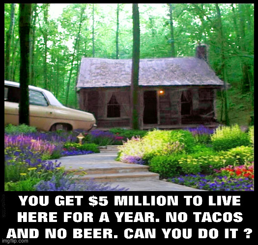 image tagged in evil dead,house,who wants to be a millionaire,horror movie,tacos,beer | made w/ Imgflip meme maker