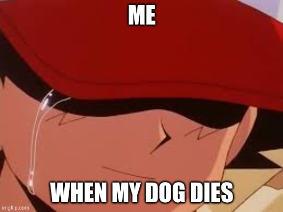 sad pokemon trainer | ME; WHEN MY DOG DIES | image tagged in sad pokemon trainer | made w/ Imgflip meme maker