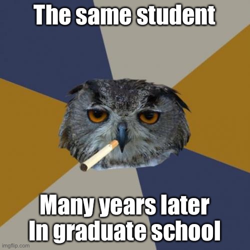 Reacc to a great meme. | The same student; Many years later In graduate school | image tagged in memes,art student owl,owl,owls,memes about memes,reaction | made w/ Imgflip meme maker